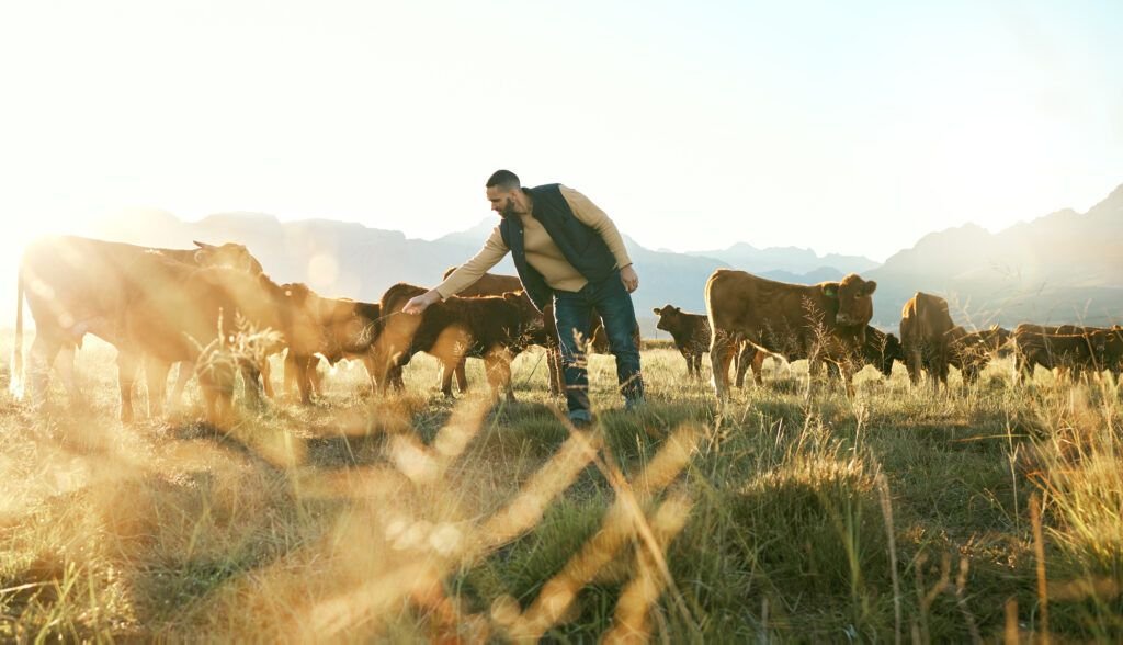 Los precios en el campo cada vez más insostenibles