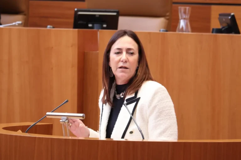 Rosa Rubio, ha lanzado duras críticas al presidente de Castilla y León, Alfonso Fernández Mañueco, durante el debate de una Proposición No de Ley (PNL) en las Cortes autonómicas.