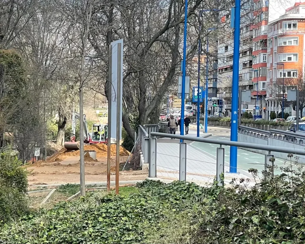 VTLP denuncia la tala de árboles en la Rosaleda