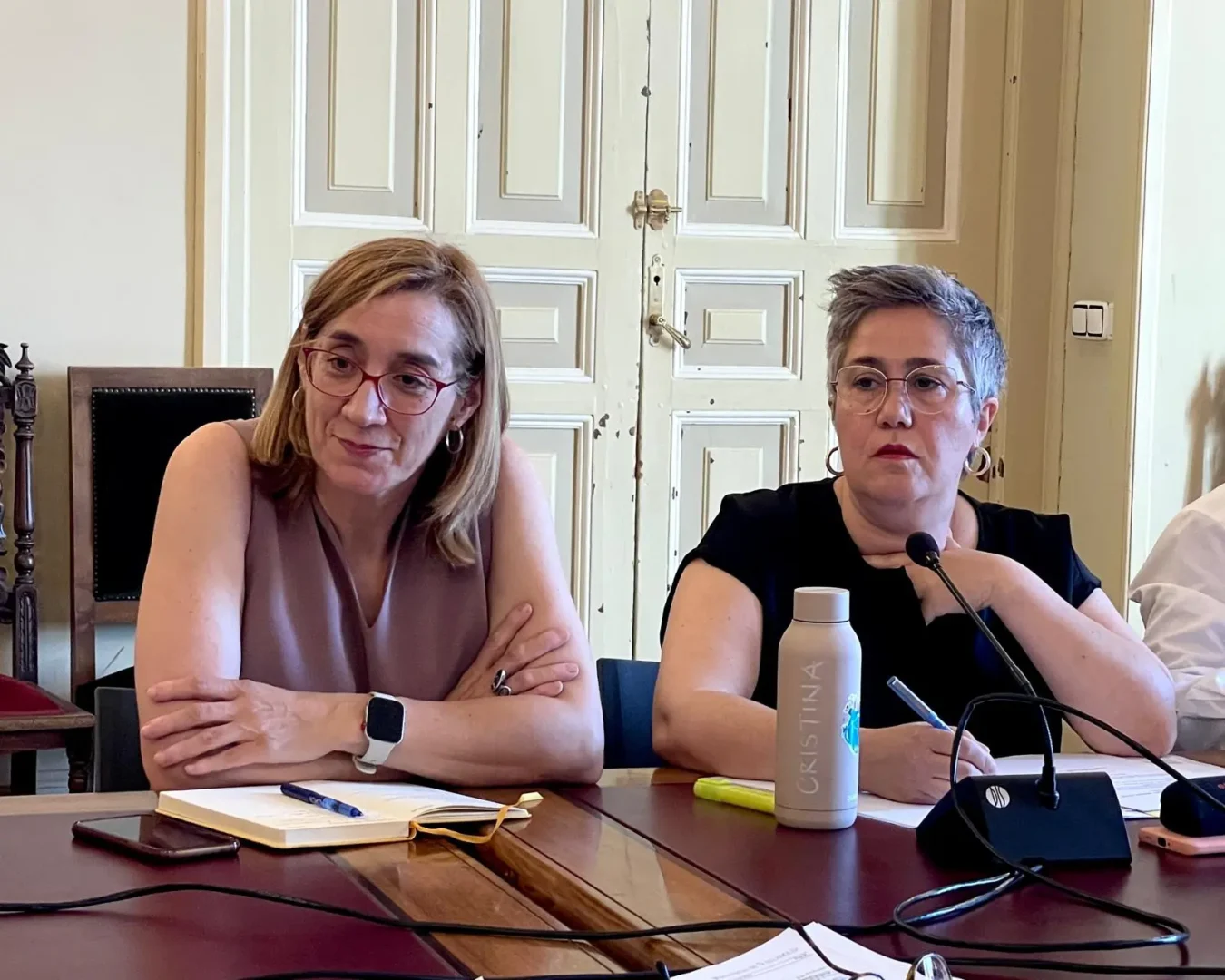 Rocío Anguita: “1,2 millones al cubo del soterramiento: Carnero se empeña en resucitar lo inviable”